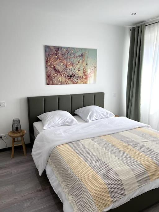 Superbe Appartement Lumineux Avec Parking Gratuit Wintzenheim Zewnętrze zdjęcie